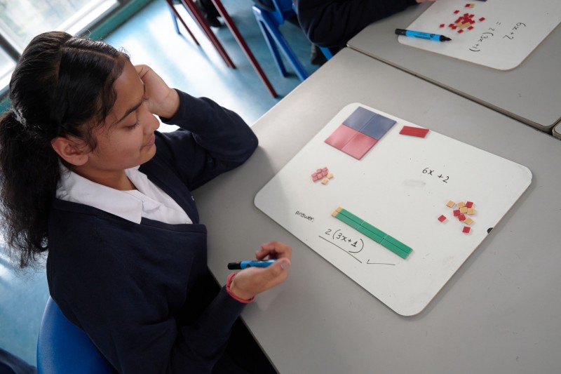 Female Student With Work Image 2
